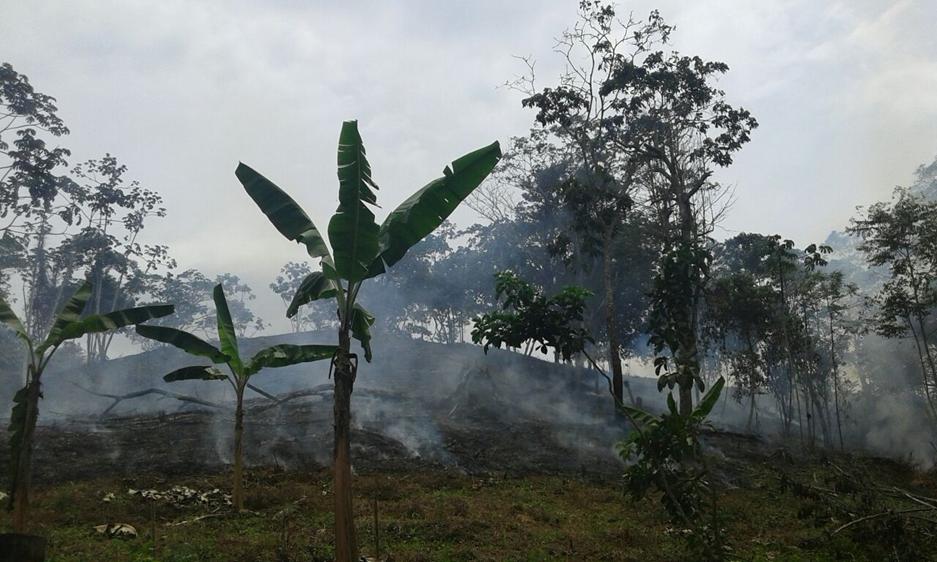 El Valle prepara plan de contingencia para la atención de incendios forestales en la temporada seca