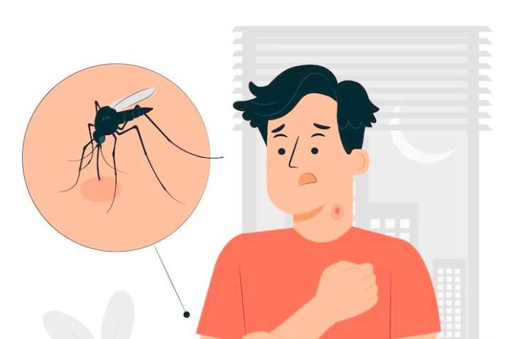 Se declara la emergencia sanitaria por dengue, autoridades de Salud del Valle piden reforzar acciones preventivas