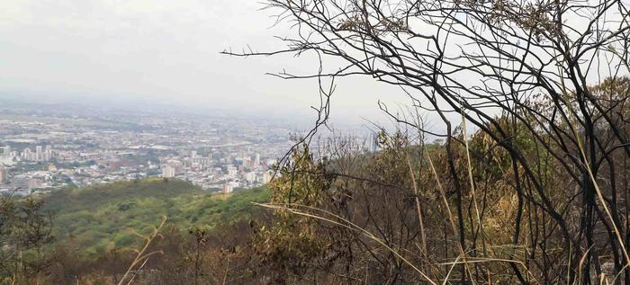 Dagma mitigó riesgo de nuevo incendio en el cerro de Las Tres Cruces