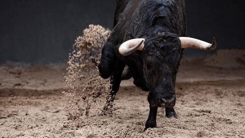 Toro embiste a espectador en las corralejas