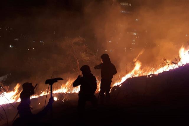 170 hectáreas han sido consumidas por las llamas