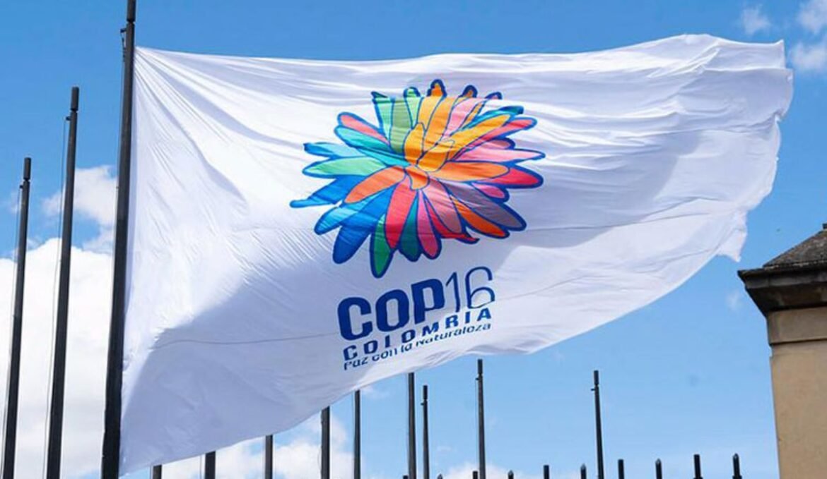 Hoy Colombia abre las puertas del mundo con la inauguración de la COP16