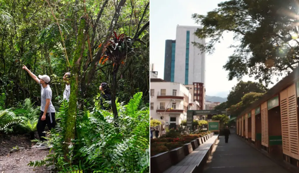 Semana de la Biodiversidad Cali actividades gratuitas