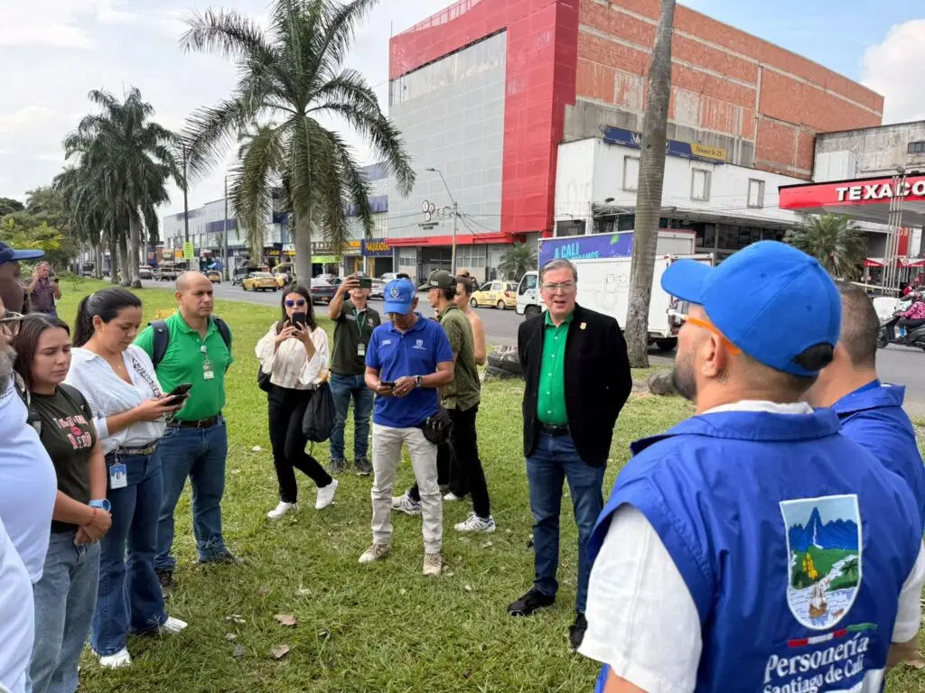 Cali revisa opciones para proteger árboles del barrio Obrero durante la Feria