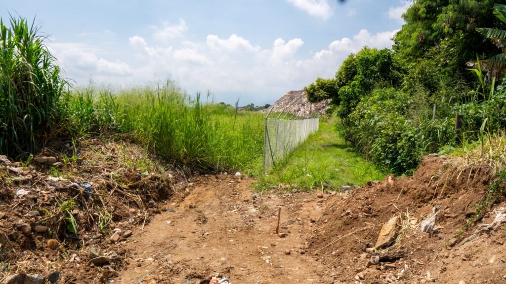 Avanza proyecto del Multicampus en el oriente de Cali: así se asegura el terreno