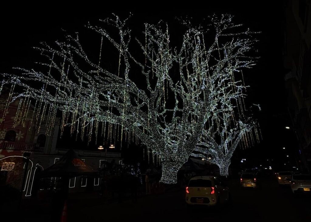 Navidad en Cali y sus municipios vecinos
