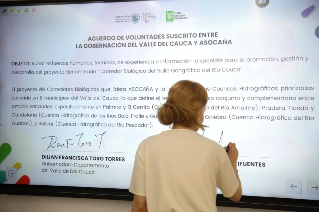 Acuerdo en el Valle busca restaurar 890 kilómetros del río Cauca. Foto: Gobernación del Valle del Cauca