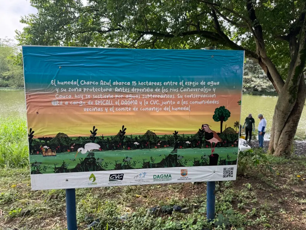 Charco Azul y otros humedales, esenciales para la vida en Cali