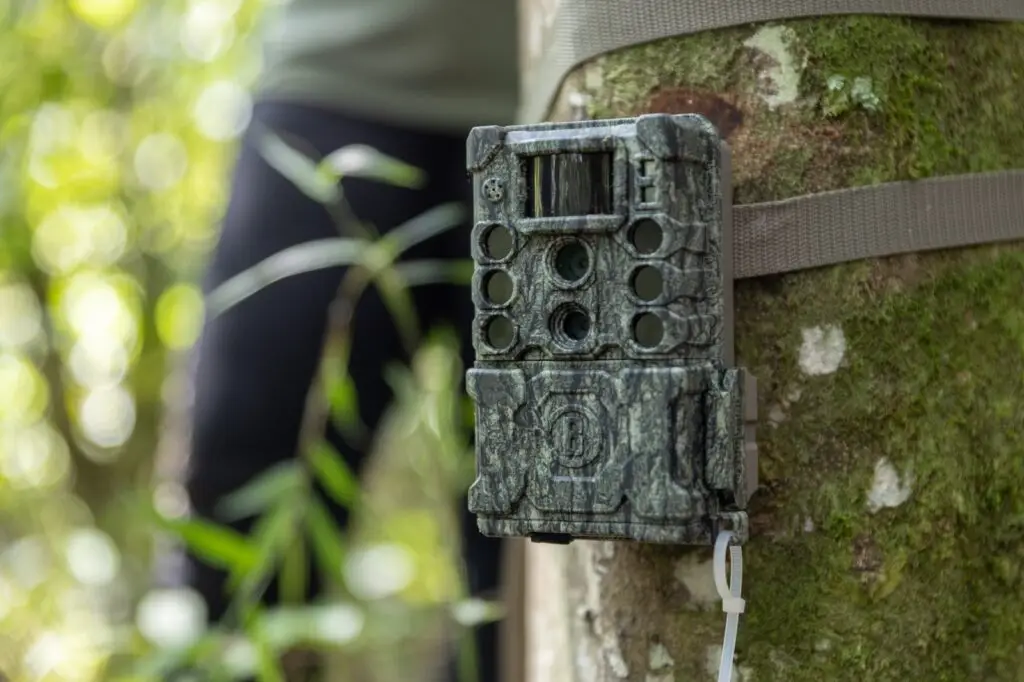 Así convive la fauna silvestre con Cali