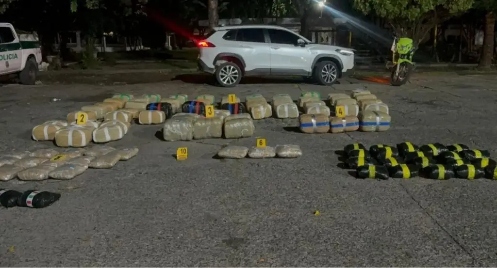 Unidades policiales descubrieron millonario cargamento de marihuana