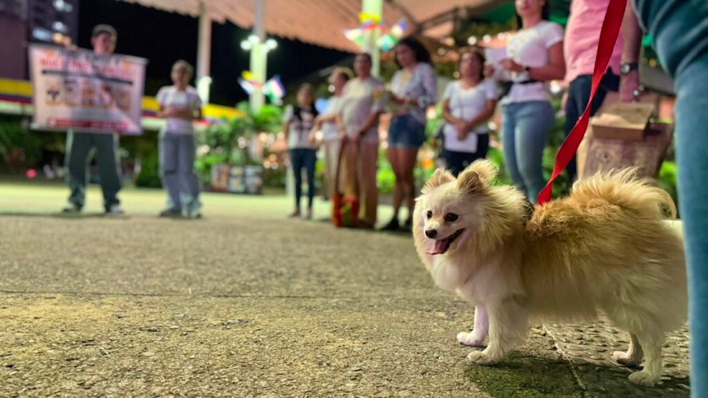 En la foto, la madre de los cinco perritos secuestrados. Foto: CW+